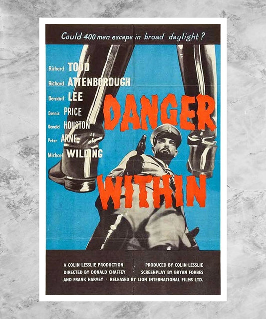 Danger Within Poster