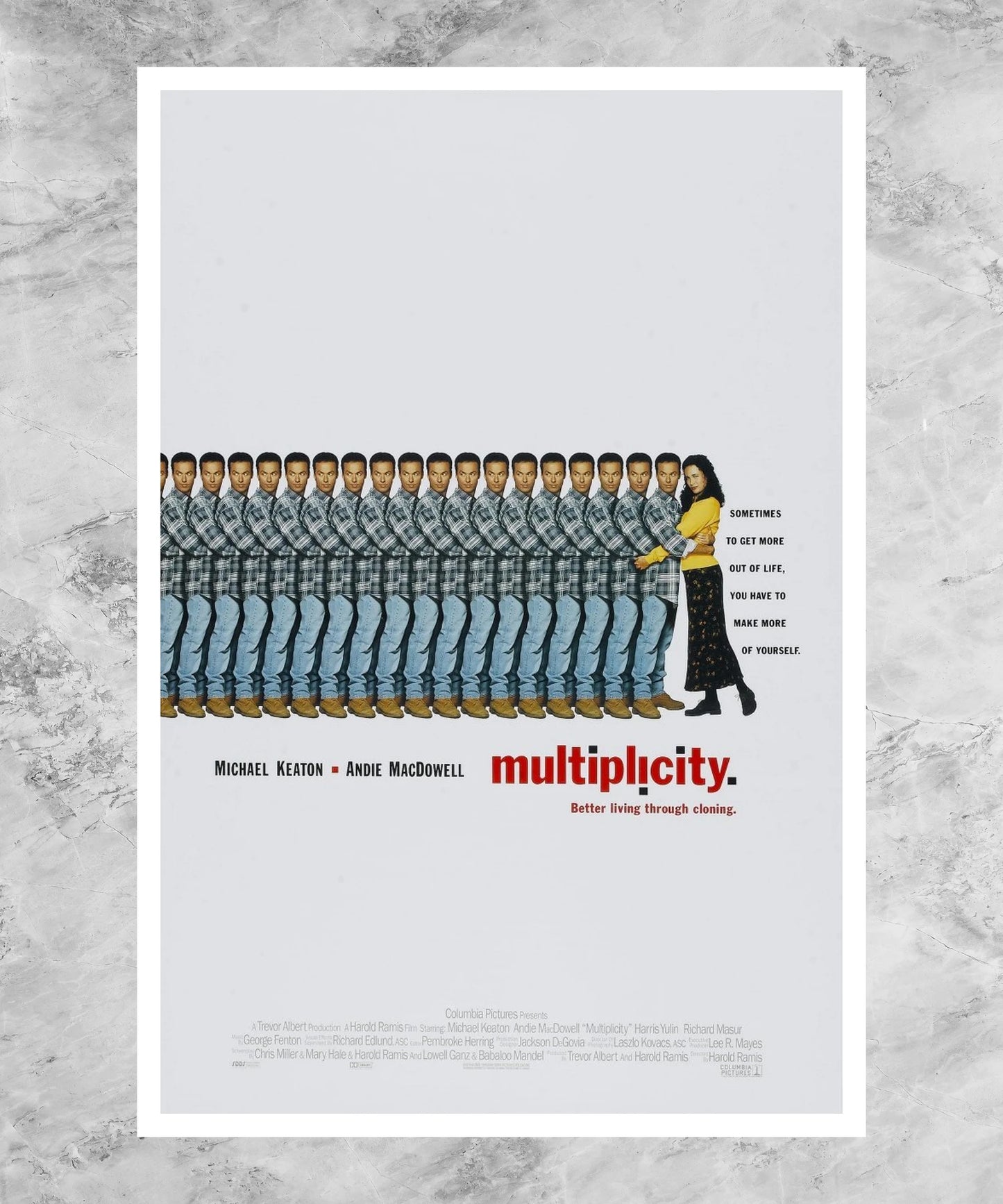 Multiplicity Poster