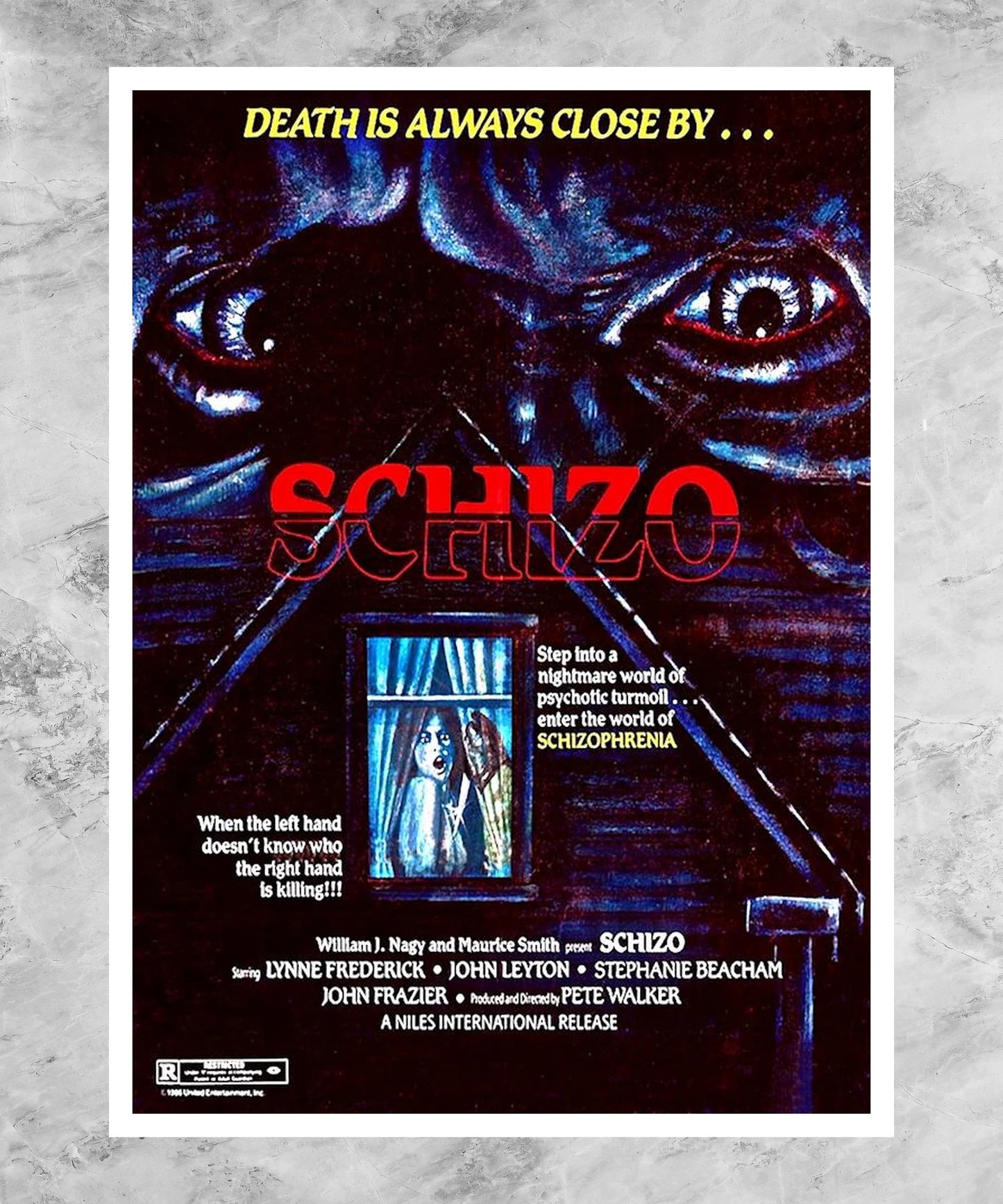 Schizo Poster