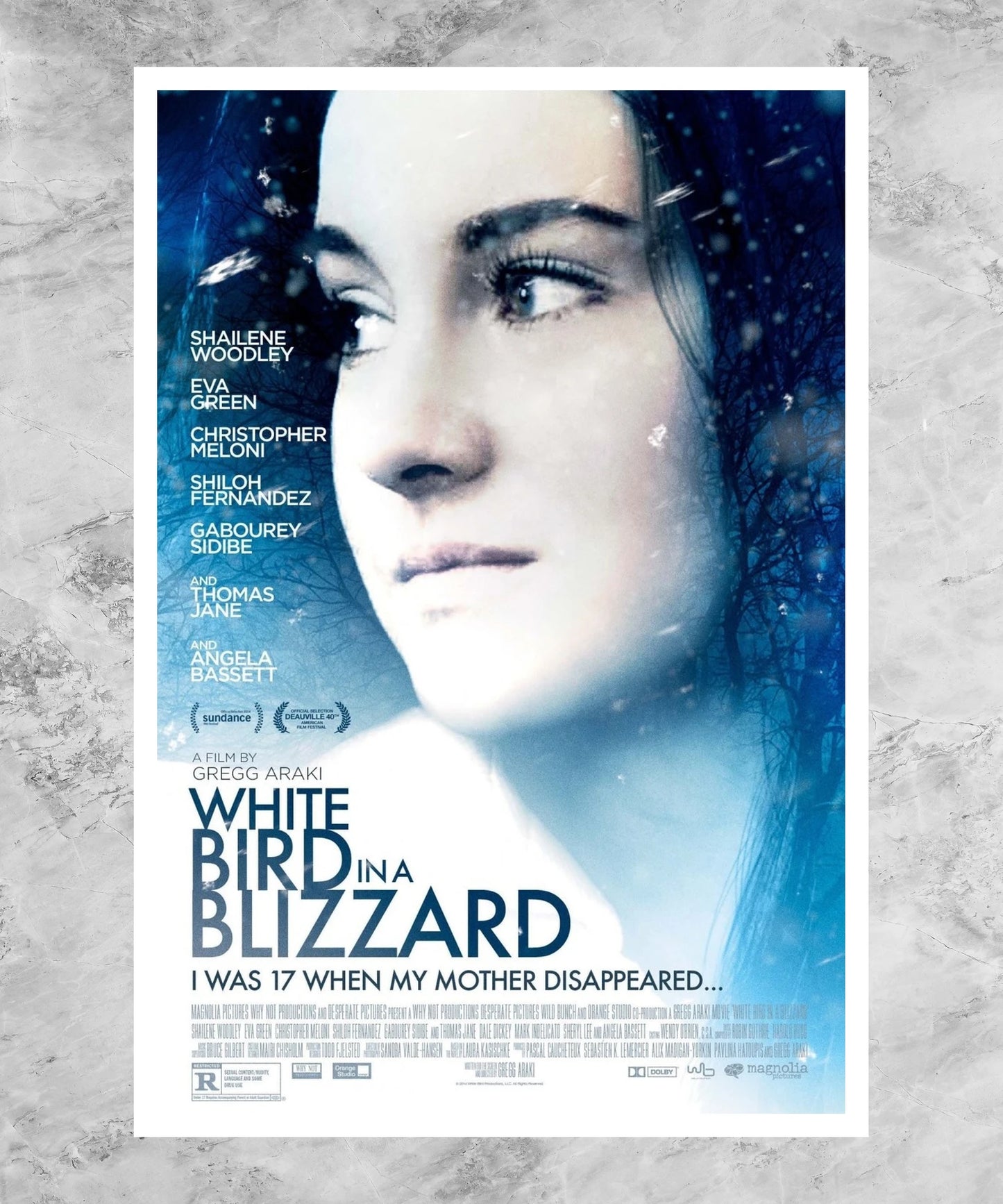 White Bird in a Blizzard Poster